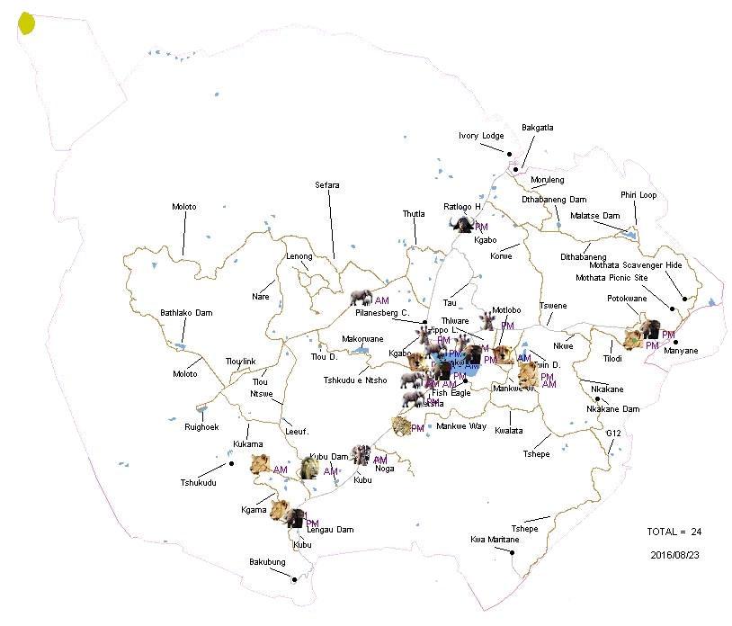 Pilanesberg Game Reserve Sighting Data