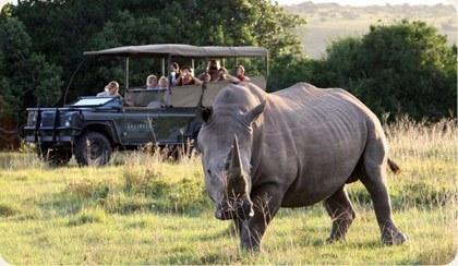 The Game Reserve for the Safari Novice Image